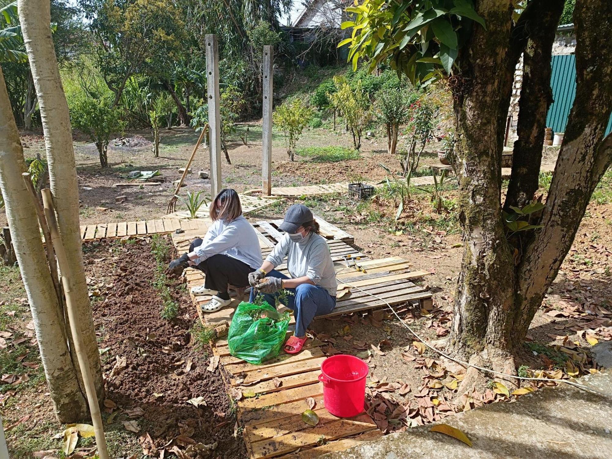 Ferienwohnung The Burrow Dalat Exterior foto