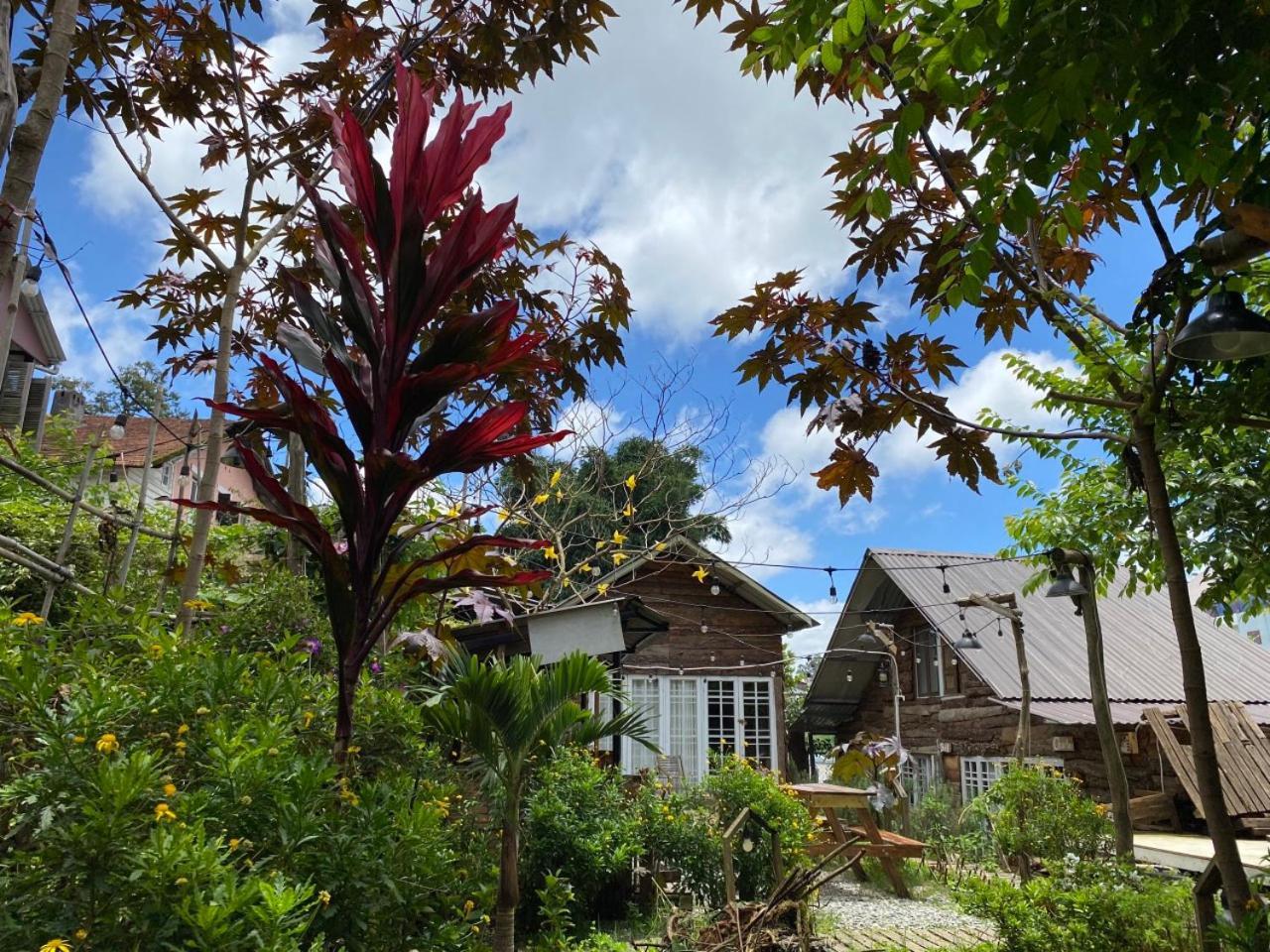 Ferienwohnung The Burrow Dalat Exterior foto